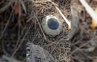 Hakkari’de anti personel mayını ele geçirildi