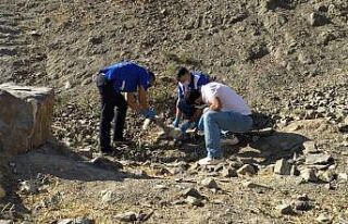 Hakkari’de zehirlenen tilki tedavi altına alındı