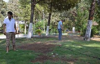 Hatay’da rekor sıcaklık