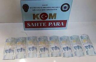 Hatay’da sahte para operasyonu