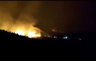 Hatay’da yeniden alevlenen orman yangını sürüyor