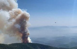 Hatay’daki orman yangını drone ile görüntülendi