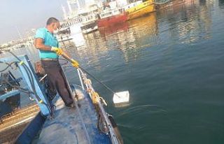 Hatay’daki sahil ve kumsallardan 5 ayda 462 ton...