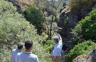 Havza’da doğa turizmi canlanacak