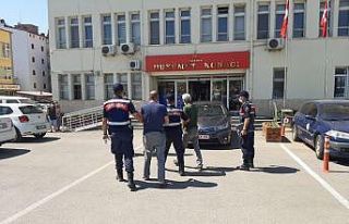 Hayvan hırsızları yakalandı, 5 faili meçhul olay...