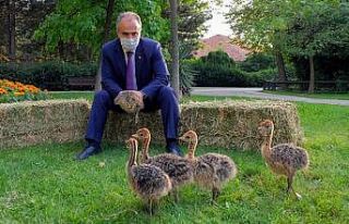 Hayvanat Bahçesi yeni üyelerle büyüyor