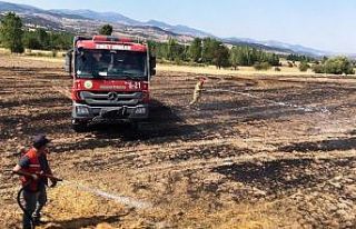 Hisarcık’ta anız yangını