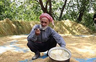 Hizan’da üretilen çeltik 150 yıllık değirmende...