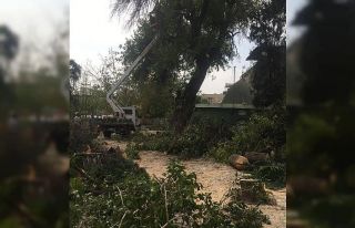Hulk Dede Türbesinin çevre düzenlemesi başladı