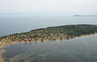 Hülya Avşar’ın ada satın alacağı yalanlandı