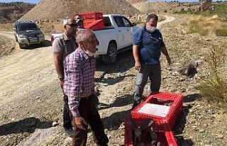 Hüyük’te doğaya 500 kınalı keklik daha salındı
