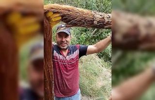 İçme su hattından 3 metrelik ağaç kökü çıktı