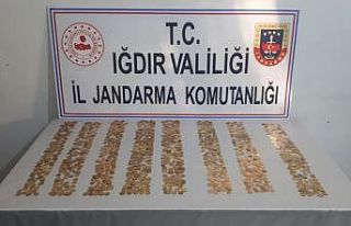 Iğdır’da tarihi eser kaçakçılığı: 1 gözaltı