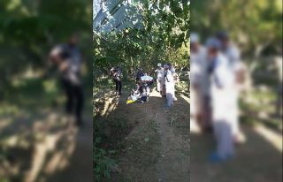 İncir ağacından düşen kadın yaralandı