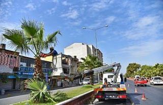 İncirliova’da sonbahar hazırlığı devam ediyor