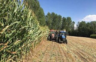 İpekyolu Belediyesi üretimden hasada çiftçilerle...