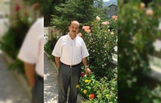 Isparta’da ceviz ağacından düşen imam hayatını...