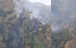 Isparta’daki orman yangını kontrol altına alındı