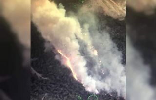 İzmir’de çıkan orman yangını kontrol altında