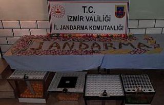 İzmir’de dernek ve depolara kumar baskını