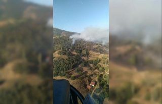 İzmir’deki orman yangını kontrol altında