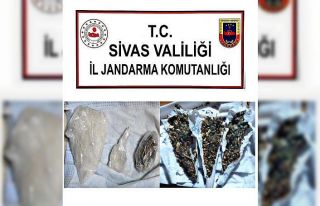 Jandarma operasyonlarında 2 şahıs tutuklandı