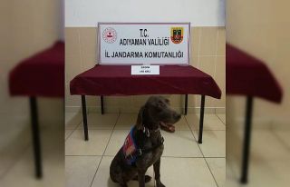 Jandarma uyuşturucu satıcılarına göz açtırmıyor