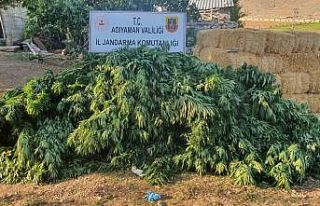 Jandarma uyuşturucu ticaretine geçit vermiyor