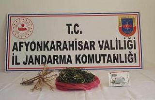 Jandarma zehir tacirlerinin kimliğini kola yapılan...