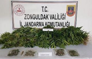 Jandarmadan uyuşturucu operasyonu: 1 gözaltı