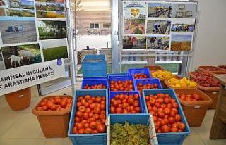 KAEÜ’si Tarımsal Uygulama Merkezi çalışmalarını...