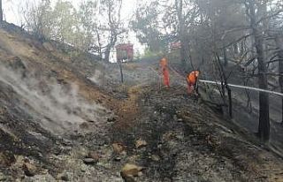 Kahramanmaraş’ta 1 hektar ormanlık alan zarar...