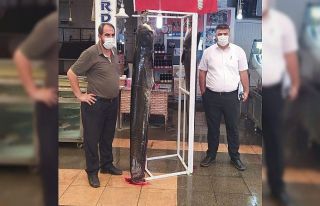 Kahramanmaraş’ta 2 metrelik balık yakalandı