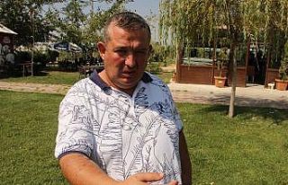 Kaldığı otelde pitbull dehşeti yaşadı