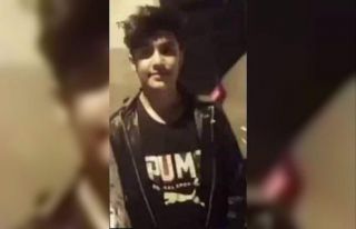 Kaplumbağayı ezmemek için canından oldu