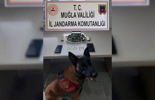 ‘Kaptan’dan uyuşturucuya geçit yok