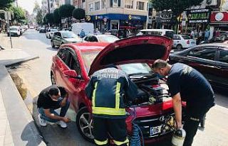 Kaputa giren kedi için seferber oldular
