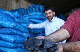 Kara elmasın satışı başladı