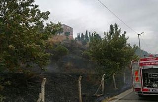 Karacabey’de çıkan yangında hayvanlar telef oldu