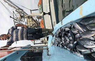 Karadeniz’de palamut bereketi