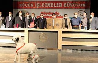 Karaman’da hayvancılık projesinin protokolü imzalandı