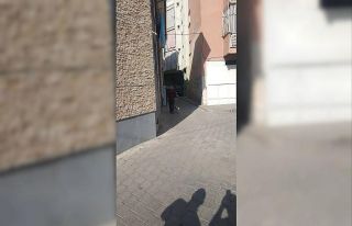 Karantina ihlaline komşu engeli