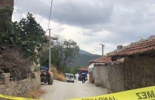 Kardeşini öldüren abla: "Taş atıp eve zorla...