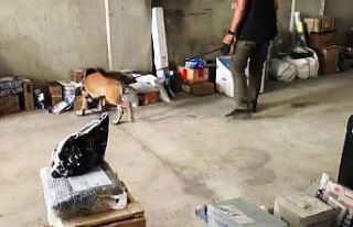 Kargo ile uyuşturucu sevkiyatına operasyon