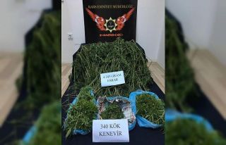 Kars’ta 4 kilo 243 gram esrar ele geçirildi