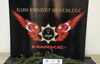Kars’ta kubar esrar ele geçirildi