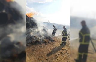 Kars’ta ot yangını