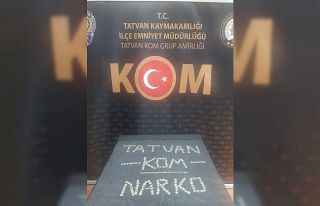 Kasık kısmına gizlenen 247 adet sikke ele geçirildi