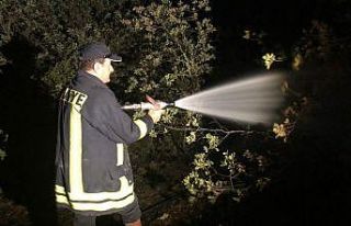 Kastamonu’da ağaçlık alanda çıkan yangın 3...