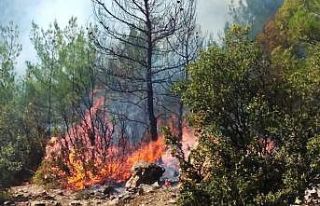 Kavaklıdere yangını kontrol altında